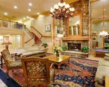 九游娱乐九游下载中心-灰熊最新消息今天